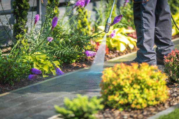Best Pool Deck Cleaning  in Oak Park, CA