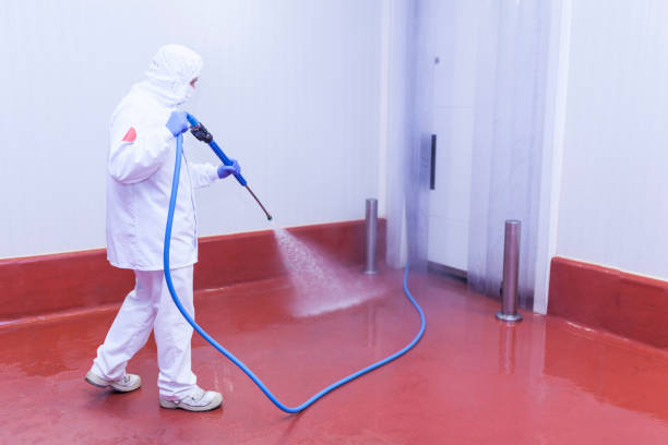 Best Driveway Pressure Washing  in Oak Park, CA